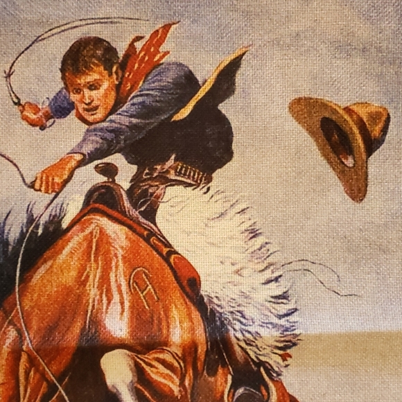 Western Pillow Cowboy Rodeo Horse Bronc Rider - Picture 3 of 11
